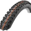 Schwalbe Hans Dampf Addix Evolution -Corima Shop schwalbe hans dampf addix evolution 1