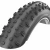 Schwalbe Jumbo Jim Addix Performance Line 100-559