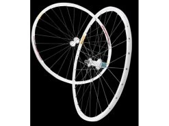 Tune Edelweisz RR CX